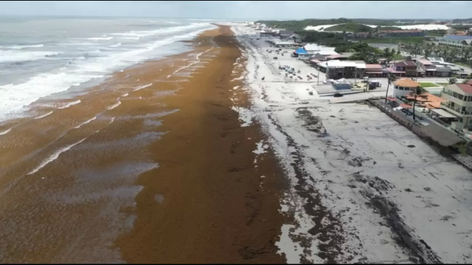 Praia de Atalaia é fechada temporariamente para remoção de sargaço